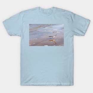 Black-headed gull at Baltic sea T-Shirt